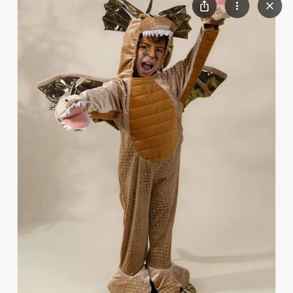Brown Dragon Costume for Kids